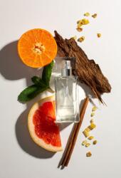 Tomonski Successo M1 EDP 50 ml