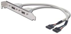 ASSMANN USB 2.0 2x USB A 2x IDC 5 tűs csatlakozókonzol kábel (AK-300301-002-E) - bestbyte