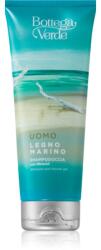 Bottega Verde Marine Wood tusfürdő gél és sampon 2 in 1 200 ml
