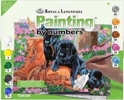 Royal & Langnickel Festés számok szerint Trouble In The Garden (PJL52)