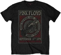 Pink Floyd WYWH Abbey Road Studios Black S Ing (PFTEE105MB01)