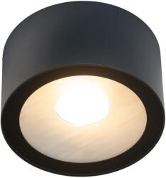 Norlys Sol grafit LED kültéri mennyezeti lámpa (NO-4057GR) LED 1 izzós IP65 (4057GR)
