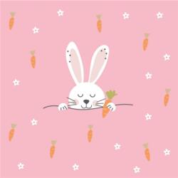 PPD Húsvéti szalvéta 33x33cm, 20db-os Easter Carrots