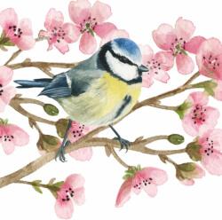 PPD Szalvéta 33x33cm, 20db-os Oiseau Printemps