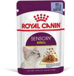 Royal Canin Sensory Smell macska tasak zselés 12x85g