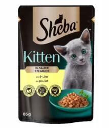 Sheba Kitten 85g cu pui in sos hrana pisoi