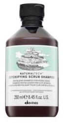 Davines Natural Tech Detoxifying Scrub Shampoo peeling hatású tisztító sampon 250 ml (HAVNSNATTCWXN127927)