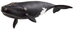 Schleich Animal - Balena nord-atlantică (OLP102614878)