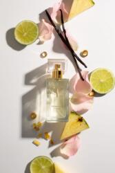 Tomonski Brillante T9 EDP 50 ml Parfum