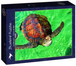 Bluebird Puzzle 1000 db-os puzzle - La Réunion - Tortue de Mer (90298) (90298)