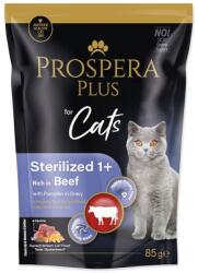 Prospera Plus Sterilized 1+ Beef & Pumpkin 12 x 85 g