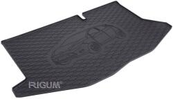 Rigum Tavita de portbagaj Ford Fiesta VI, caroserie Hatchback, fabricatie 10.2008 - 06.2017 (808131-124)