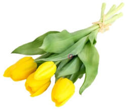 D&D Selyemvirág Tulipán csokor 5 szálas 30 cm (DD67070)