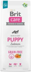 Brit Hrana Pentru Caini Brit Care Dog Grain-Free Puppy Salmon 12kg (8595602558803)