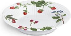 Kähler Дълбока чиния Hammershøi Summer Berries 21 см (693335)
