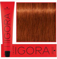 Schwarzkopf Igora Royal 60ml, festék 6-77 Sötétszőke Réz Extra (4045787200003)