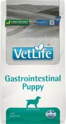 Vet Life Junior Gastro-Intestinal 2 kg