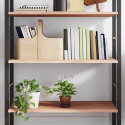 vidaXL kezeletlen tömör tölgyfa fali polc 100x50x2 cm (363566) - vidaxl