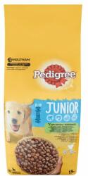 PEDIGREE Junior M/L 12 kg