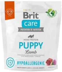 Brit Hrana Pentru Caini Brit BIT Care Hypoallergenic Puppy Lamb 1kg (8595602558971)