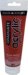 Daler-Rowney Graduate Akril festék Burnt Sienna 120 ml 1 db (123120201)