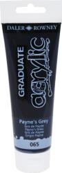 Daler-Rowney Graduate Akril festék Payne's Grey 120 ml 1 db (123120065)