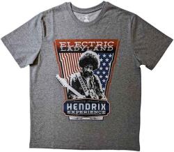 Jimi Hendrix Ing Electric Ladyland Unisex Grey L (JHXTS13MG03)