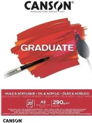 Canson Pad Graduate Huile & Acrylique Vázlatfüzet A5 290 g (C400110379)