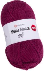 YARNART Alpine Alpaca New 1441 Kötőfonal (ALPINE-ALPACA-1441)