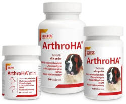 DOLFOS Dolfos ArthroHa 90 tabletta