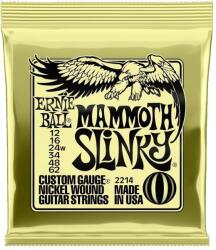 Ernie Ball 2214 Mammoth Slinky Corzi chitare electrice (P02214)