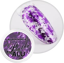 Allepaznokcie Pigment Fulgi ALU Metalic Nr. 8