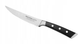 Tescoma Steak kés Azza 13 cm Tescoma (884511.00)