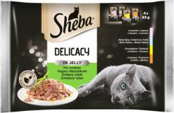 Mars-Nestlé Sheba Delicacy in Jelly - alutasakos (lazac, csirke, pulyka, fehér hal) nedves eledel macskák részére (4x85g)