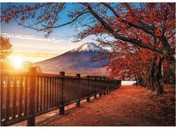 Trefl 10817 - Odyssey - Mount Fuji, Japán - 1000-db-os Premium Plus puzzle (10817)