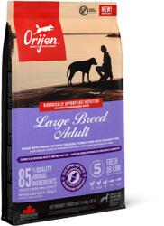 ORIJEN Large Breed Adult 11, 4kg 2db - dogshop