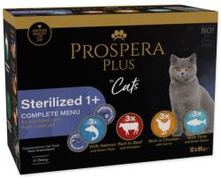 Prospera Plus Sterilized 1+ tasakos eledel 36 x 85 g