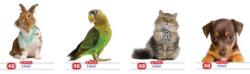 Herlitz Caiet A5 48f Velin Animale (9465760-s) - officeclass