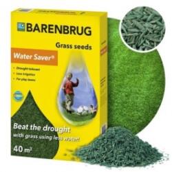 Barenbrug Seminte gazon seceta Barenbrug Water Saver, 1 kg