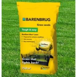 Barenbrug Seminte de gazon Barenbrug Resilient Blue Lawn