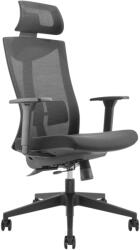StableDesk Scaun Ergonomic StableChair Pro Mesh, Pentru Office/Gaming din Plasa, Suport lombar, Cotiere reglabile, Tetiera reglabila sau demontabila, Pana la 15 (SD-105-NE)