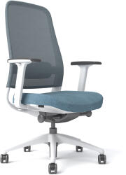 StableDesk Scaun reglabil Ergonomic StableDesk FREESTYLE, Armrest 4D, Reglare tetiera, suport lombar, inaltime, blocare inclinare in 5 pozitii, Albastru / Alb (SD-134-ARUAL)