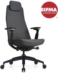 StableDesk Scaun reglabil Ergonomic StableDesk FOREVER, Armrest 3D, Reglare tetiera, suport lombar, inaltime, blocare inclinare in 5 pozitii, Negru / Negru (SD-133-NENE)