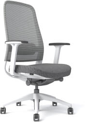 StableDesk Scaun reglabil Ergonomic StableDesk FREESTYLE, Brate Armrest 4D, Suport lombar, inaltime, Blocare inclinare in 5 pozitii, Certificat BIFMA - Gri / Alb (SD-134-GRIAL)
