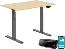 StableDesk Birou reglabil electric StableDesk Pro, 2 motoare, Ridica 125 kg, Organizator cabluri, Touchscreen, Aplicatie pentru Telefon, Cadru Negru mat, Blat Ma (SD-101-NE-D-ST-120x75)