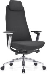 StableDesk Scaun reglabil Ergonomic StableDesk FOREVER, Armrest 3D, Reglare tetiera, suport lombar, inaltime, blocare inclinare in 5 pozitii, Negru / Argintiu (SD-133-NESVR)