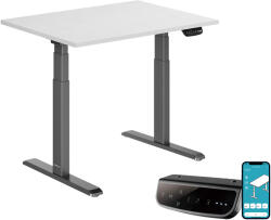 StableDesk Birou reglabil electric StableDesk Pro, 2 motoare, Ridica 125 kg, Organizator cabluri, Touchscreen, Aplicatie Smart Telefon, Ergonomic, 3 Functii de M (SD-101-NE-D-AL-120x75)