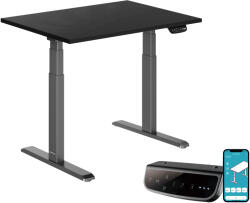 StableDesk Birou reglabil electric StableDesk Pro, 2 motoare, Ridica 125 kg, Organizator cabluri, Touchscreen, Aplicatie Smart Telefon, Ergonomic, 3 Functii de M (SD-101-NE-D-NE-120x75)