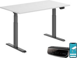 StableDesk Birou reglabil electric StableDesk Pro, 2 motoare, Ridica 125 kg, Organizator cabluri, Touchscreen, Aplicatie Smart Telefon, Ergonomic, 3 Functii de M (SD-101-NE-D-AL-138x67)