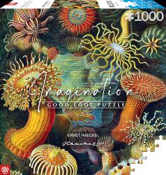 Cenega Imagination: Ernst Haeckel - Sea Anemones 1000 db-os puzzle